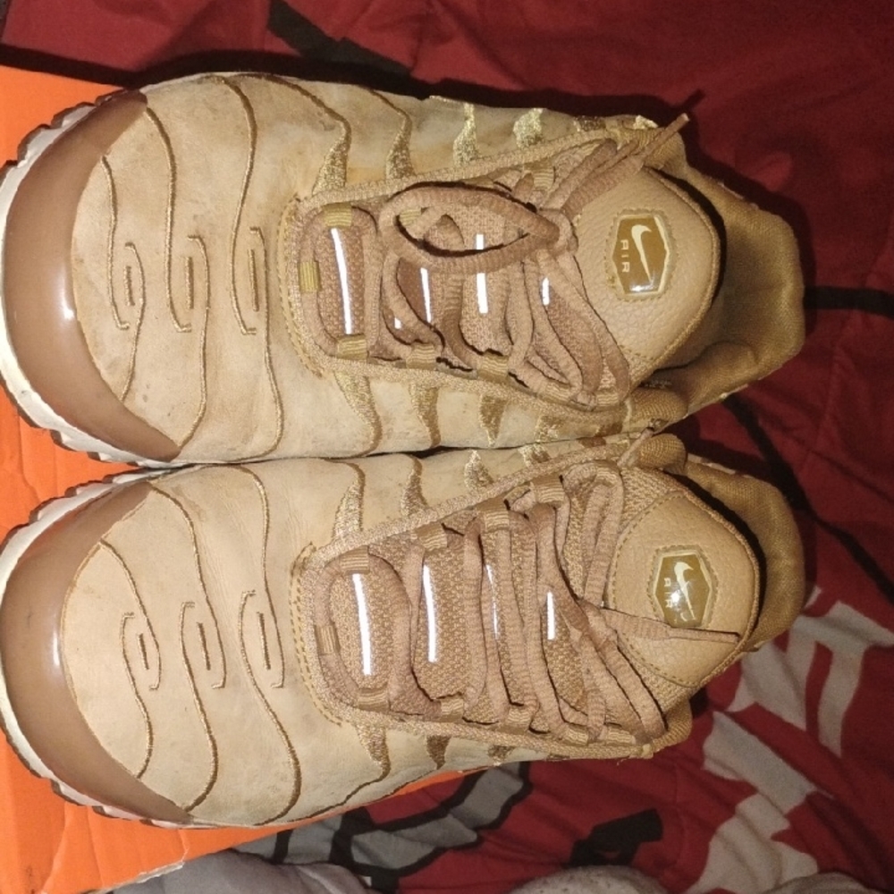 Brown Air Max Plus 'Flax'